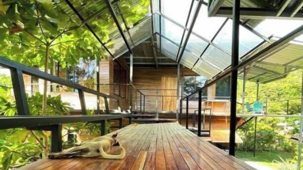 A wooden deck with a metal roof structure, surrounded by greenery. - Terrazas del Golfo Oceanfront, Room Tucán! Pet Friendly! (Provincia de Puntarenas)