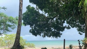 A beach with a tree in the foreground and a view of the ocean. - Terrazas del Golfo Oceanfront, Room Tucán! Pet Friendly! (Provincia de Puntarenas)