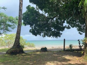A beach with a tree in the foreground and a view of the ocean. - Terrazas del Golfo Oceanfront, Room Tucán! Pet Friendly! (Provincia de Puntarenas)