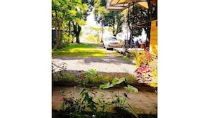 A pathway leading to a building with a covered entrance, surrounded by lush greenery and a variety of plants. - Terrazas del Golfo Oceanfront, Room La Lapa! Pet Friendly! (Provincia de Puntarenas)