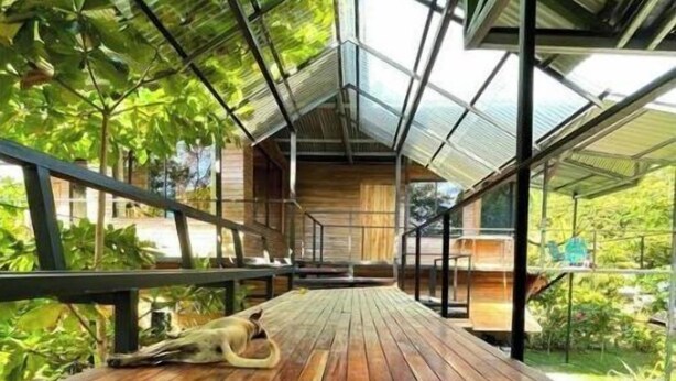 A wooden deck with a metal roof structure, surrounded by greenery. - Terrazas del Golfo Oceanfront, Room La Lapa! Pet Friendly! (Provincia de Puntarenas)