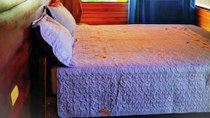 A wooden cabin room with a bed, a window, and a curtain. - Terrazas del Golfo Oceanfront, Room La Lapa! Pet Friendly! (Provincia de Puntarenas)