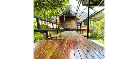 Enceinte de l’hébergement