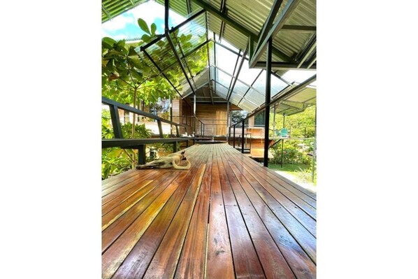 Property grounds - Terrazas del Golfo Oceanfront, Room Manigordo! Pet Friendly! (Provincia de Puntarenas)