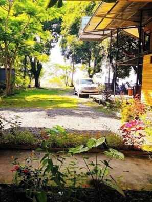 A pathway leading to a building with a covered entrance, surrounded by lush greenery and a variety of plants.