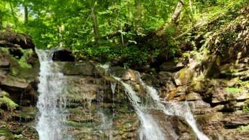 A waterfall cascading over rocky terrain surrounded by lush greenery.