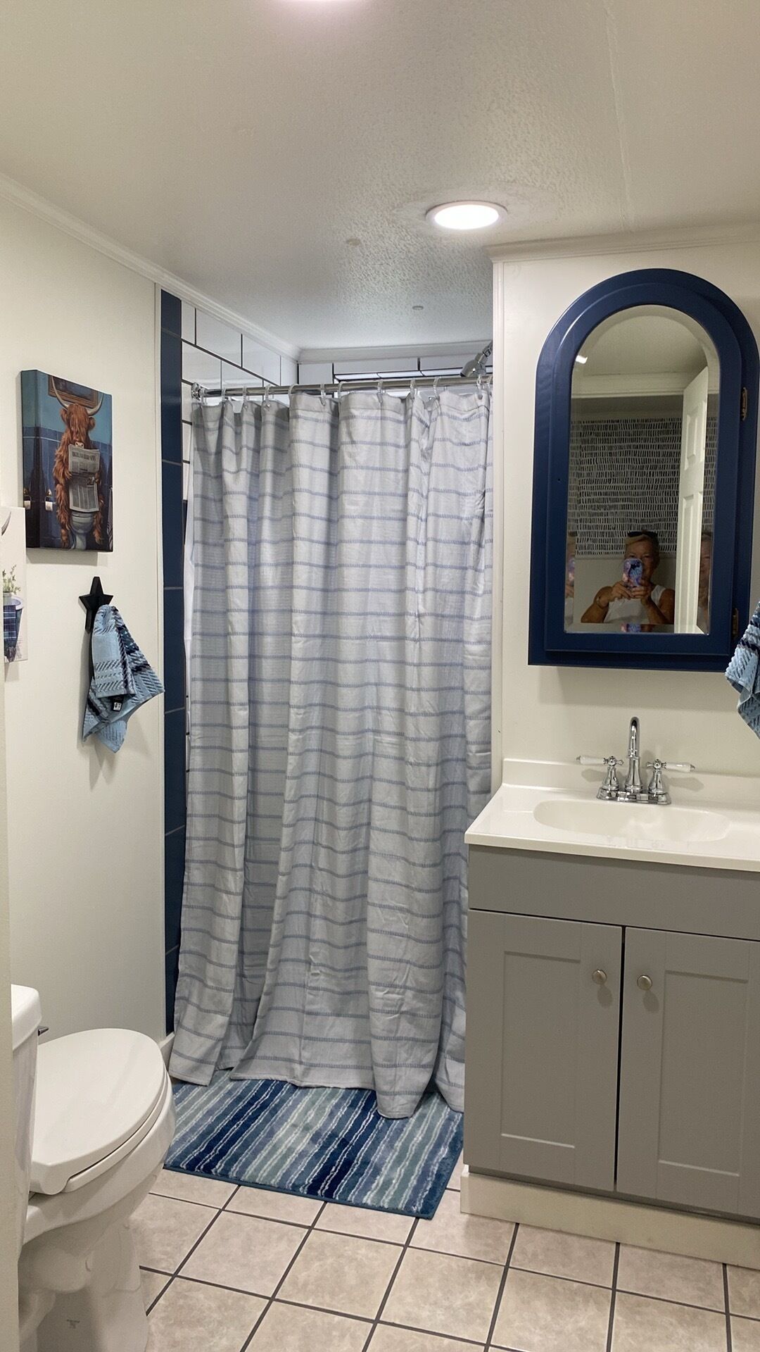 A bathroom with a shower curtain, a toilet, a sink with a mirror, and a towel rack.