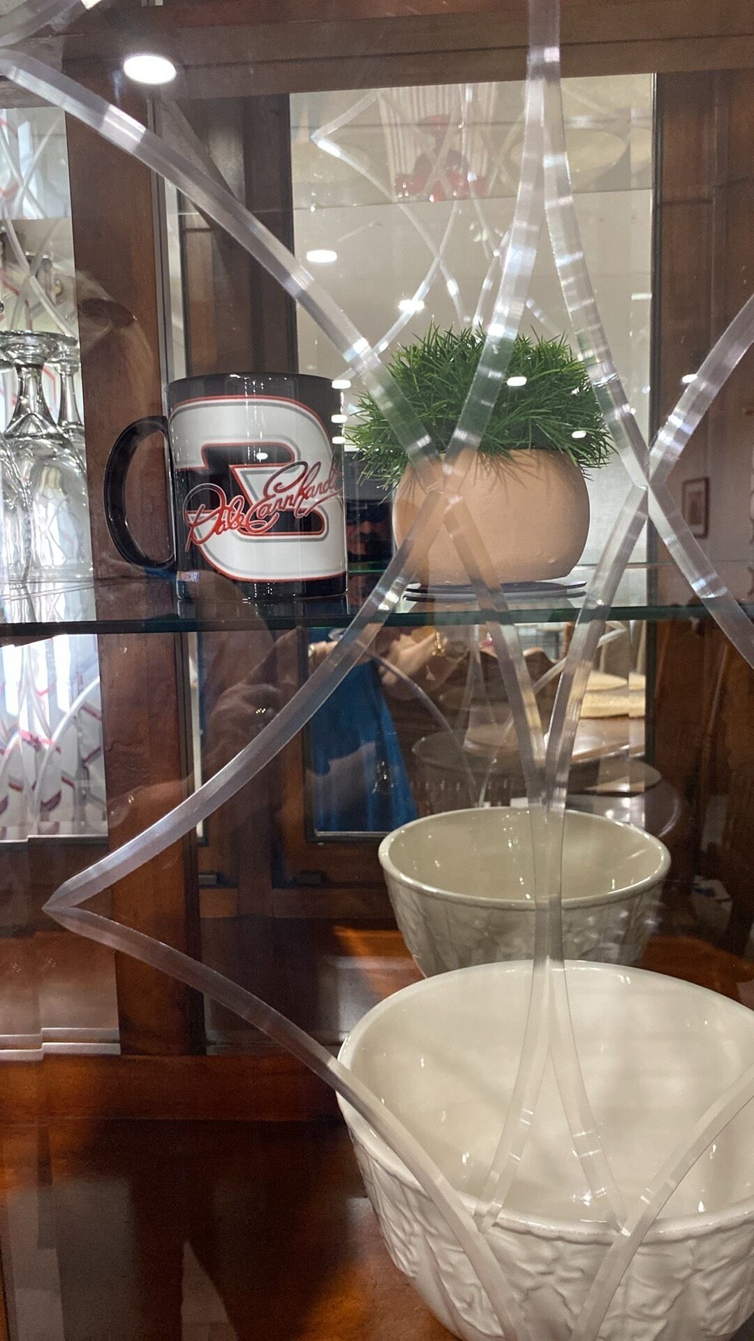 Un expositor de vidrio con una cafetera y una planta en maceta.