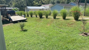 A grassy yard with a small tree, a wooden deck, and a trailer.