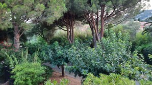 Un jardin agrémenté de divers arbres et arbustes, un chemin dallé et une clôture en arrière-plan.