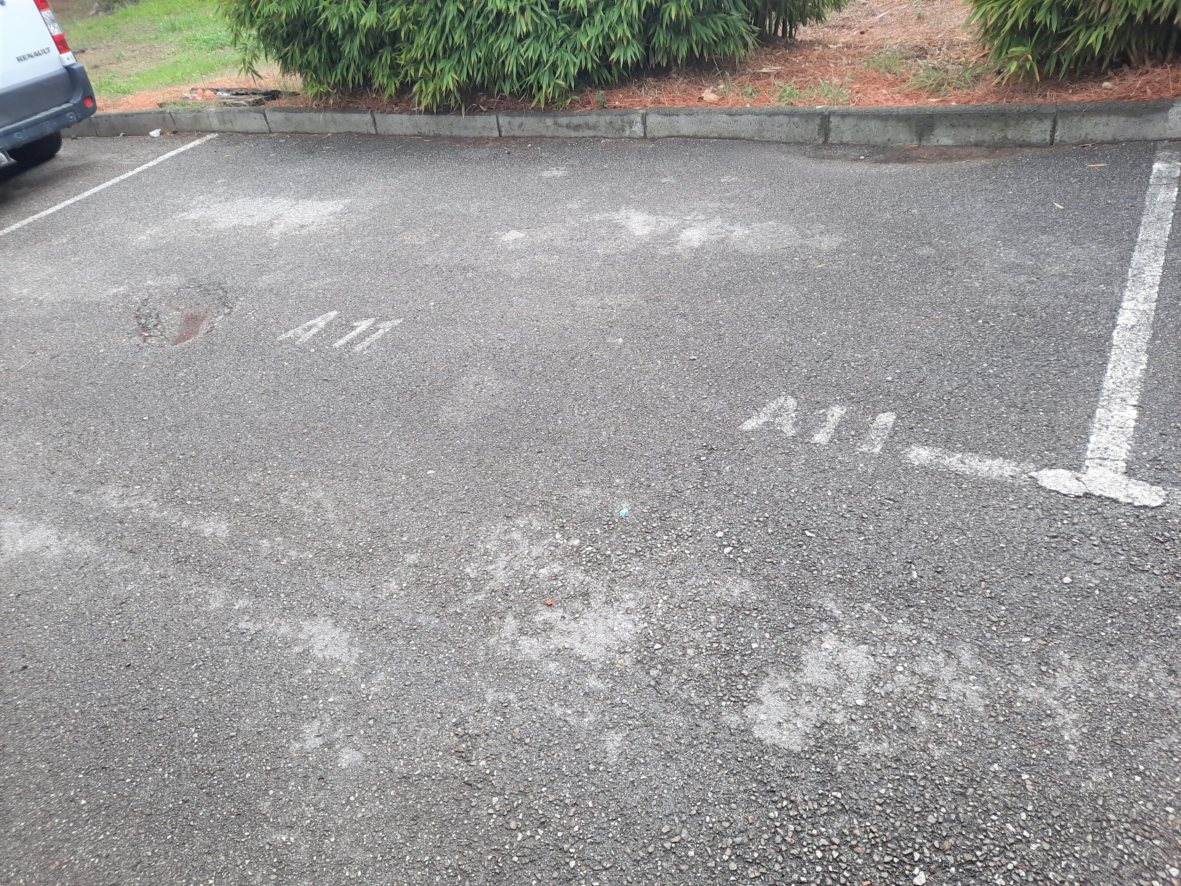 Ein Parkplatz mit markierten Stellplätzen und Bordstein.