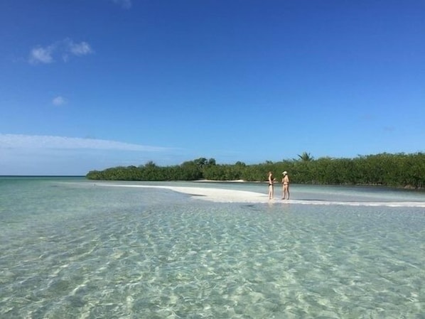 Sun loungers, beach towels - PALM COTTAGE sleeps 4. Fall and Holiday season at Hidden Hammock. (Summerland Key)