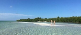 PALM COTTAGE - Sleeps 4 - ESCAPE THE COLD; OUR POOL IS HEATED!