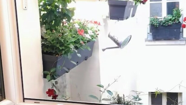 A view through a window with a white wall, a small window with a plant, and a door. - Charming, private studio (Paris)