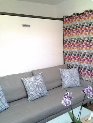 Smart TV, books - Charming, private studio (Paris)