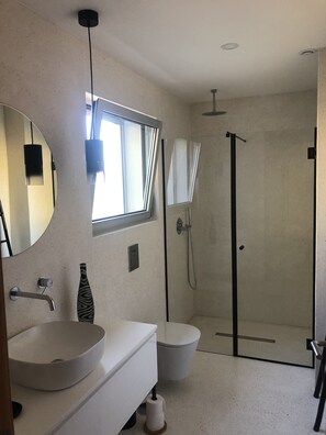 Shower, hair dryer, towels, toilet paper