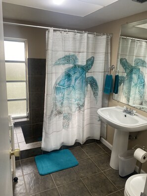 Shower, hair dryer, towels, soap