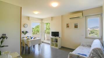 Cheminée, lecteur de DVD