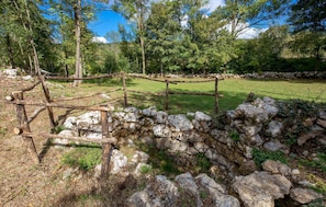 Parco della struttura