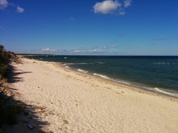 On the beach, sun-loungers
