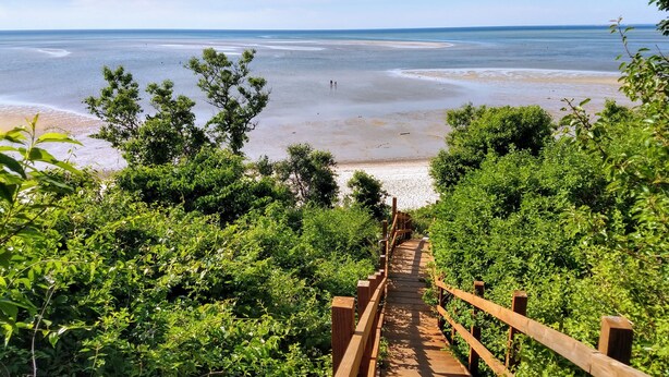 A wooden staircase leading to a beach with a clear view of the ocean. - Private Beach.  Fabulous Bay Views. WIFI (Brewster)