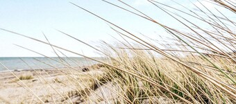 Awesome home in Grenaa with sauna