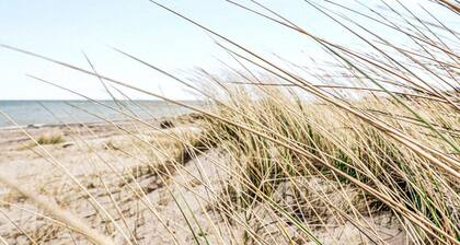 Awesome home in Grenaa with sauna