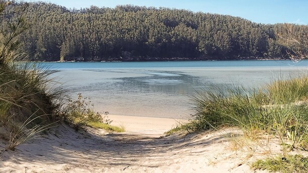 Una playa con vista despejada al agua y una colina boscosa al fondo.