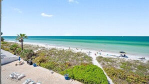 A beach view with lounge chairs and a palm tree. - 🚤Belleair Beach Club #313 – Cozy Gulf-Front Condo with Stunning Views & Heated Pool!🩱 (Belleair Beach)