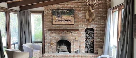 Smart TV, fireplace, books