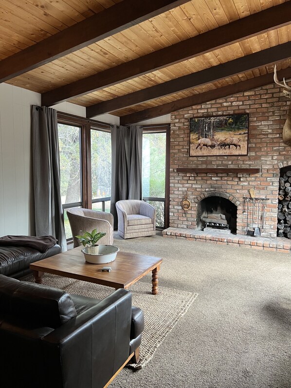 TV connectée, cheminée, livres