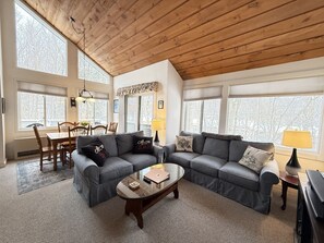 TV, fireplace, DVD player, books