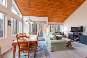TV, fireplace, DVD player, books