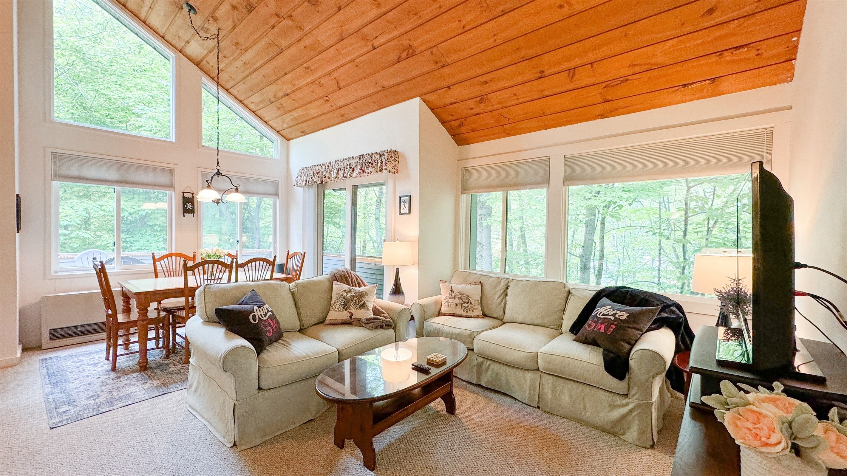 Una televisión, una chimenea, un reproductor de DVD, libros