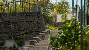 Un mur de pierres avec une clôture en métal, un escalier en béton et de la verdure.