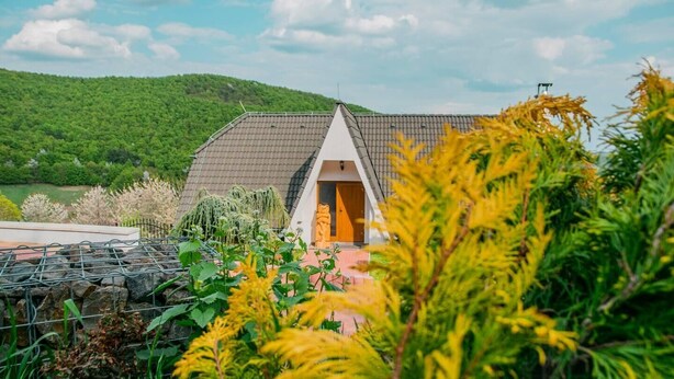 Une maison avec un toit en pente, une porte en bois et un jardin où poussent différentes espèces de plantes.