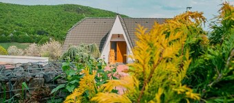 Captivating 3-Bedrooms Cottage in the hills