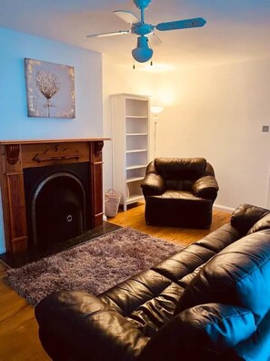 TV, fireplace - Beautiful 3-Bed House in Londonderry (Londonderry)