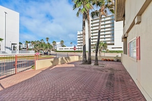 Property grounds - Spacious Beachside Home with Private Pool! Dog-Friendly & Directly Across from Beach! (South Padre Island)