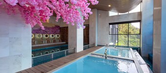 The Yanné, Onsen Hotel