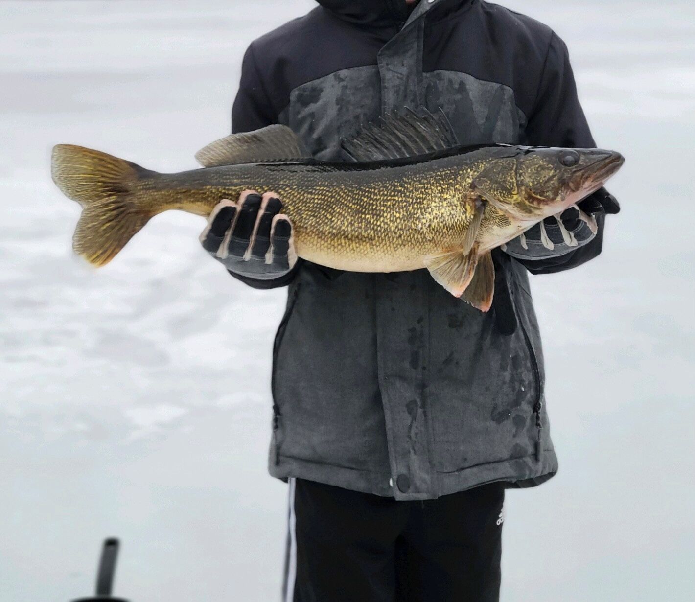 A person holding a fish.