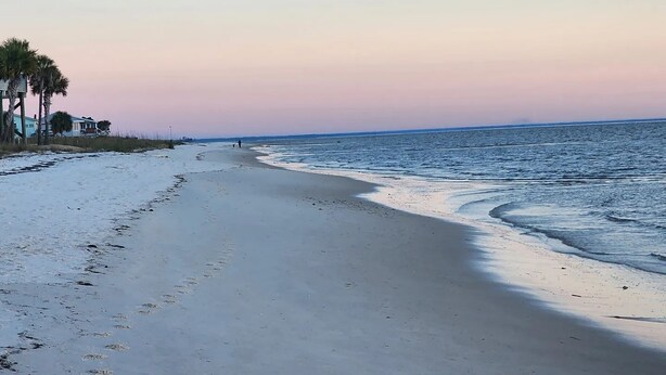 A beach with a clear sky, a few palm trees, and a distant view of the ocean. - Beach Getaway Just Refreshed, Sleeps 8 <4 br> EV level 2 charging- views (Alligator Point)