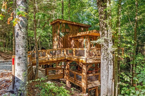 Treehouse - Amazonia - Red River Gorge, KY