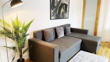 Flat-screen TV