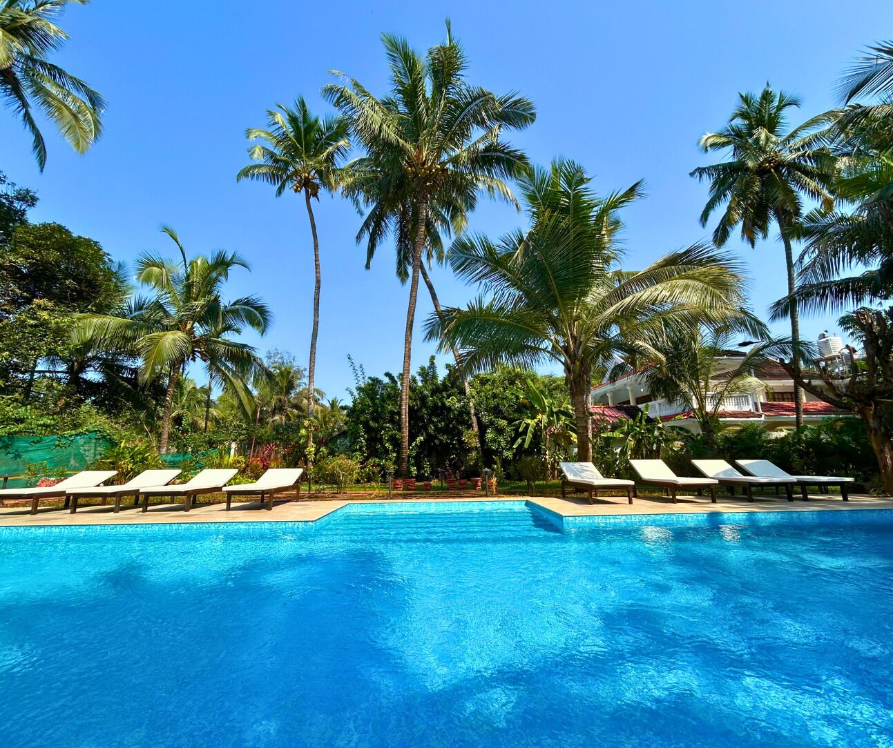 Piscine extérieure, chaises longues