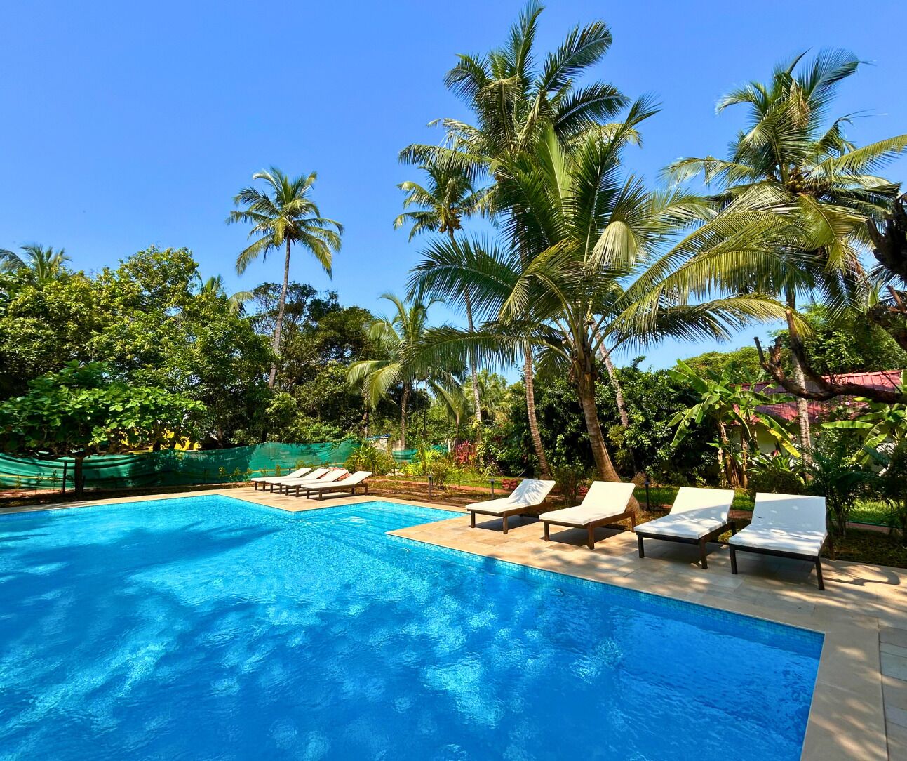 Outdoor pool, open 8:00 AM to 7:00 PM, sun loungers