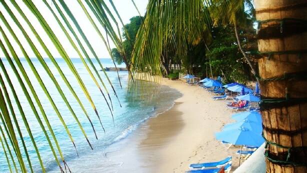 A beach with palm trees, a sandy shore, and blue umbrellas. - Villa located in St James on the west cost of Barbados with sea view and pool. (Fitts Village)