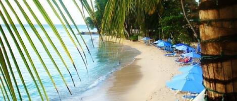 Ubicación cercana a la playa, tumbonas y toallas de playa
