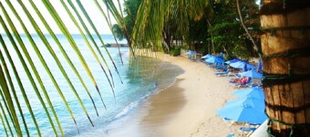 Villa located in St James on the west cost of Barbados with sea view and pool.