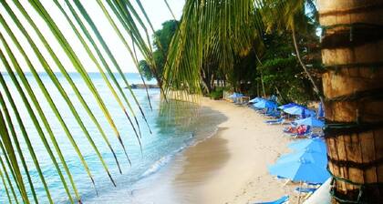 Villa located in St James on the west cost of Barbados with sea view and pool.